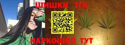 spice Гай