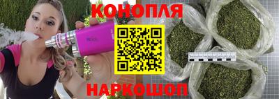 spice Гай