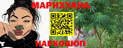 spice Гай