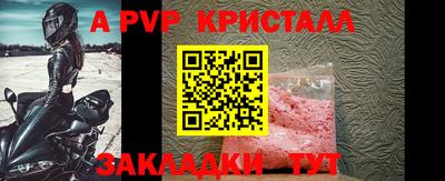 мяу мяу мука Гатчина